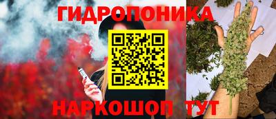 эйфоретик Обь