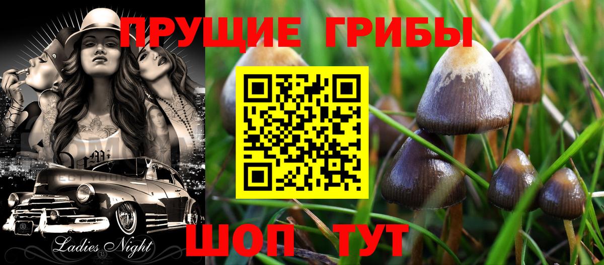 Галлюциногенные грибы мицелий Сегежа