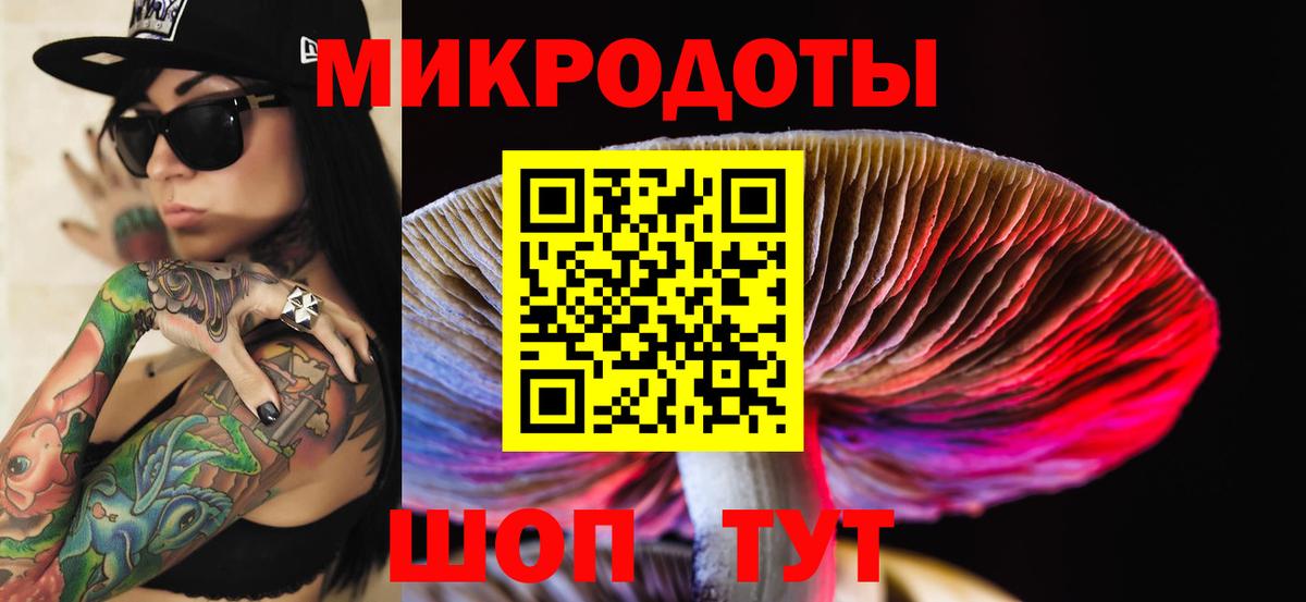 Галлюциногенные грибы мицелий  Вход с VPN  Галлюциногенные грибы мицелий  Сегежа 